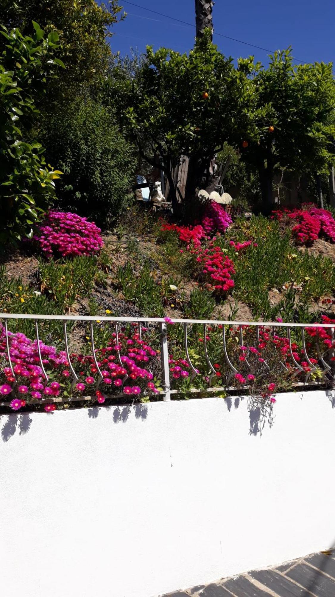 Casa Das Laranjeiras Pinhão Dış mekan fotoğraf